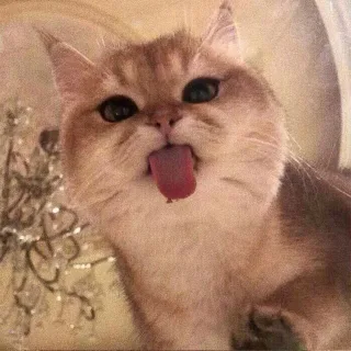 略略略小舌头太可爱了