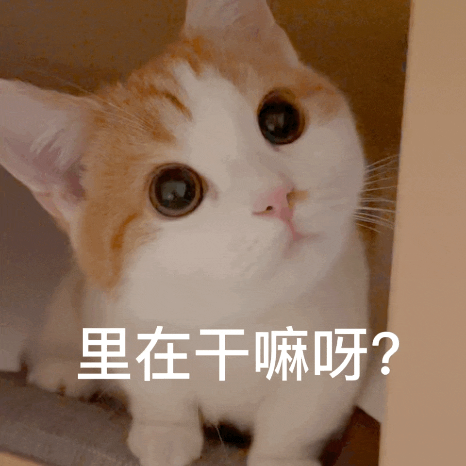 里在干嘛呀？（里在干嘛呀？）