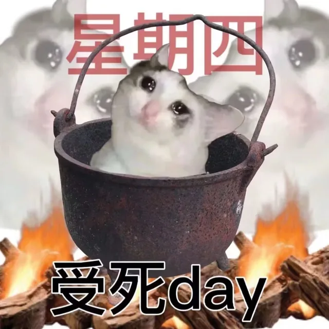 星期四受死day（星期四受死day）