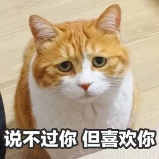 说不过你，但喜欢你