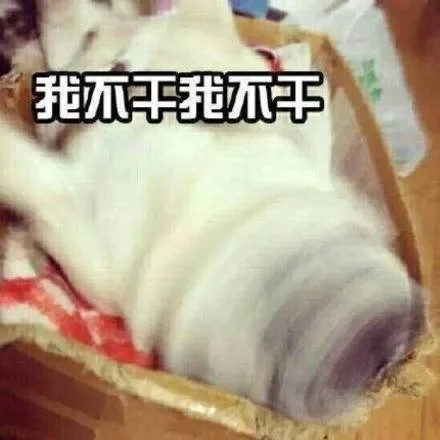 我不干我不干 狗子摇头（我不干我不干 狗子摇头）