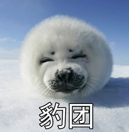 抱团（豹团）
