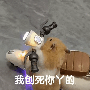 我创死你丫的(鼠鼠表情包)（我创死你丫的(鼠鼠表情包)）