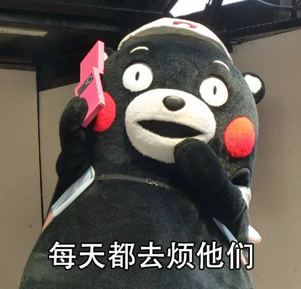 每天都去烦他们（每天都去烦他们）