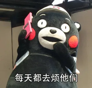 每天都去烦他们