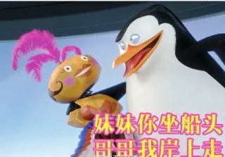 妹妹你坐船头，哥哥我岸上走