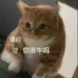 请问?你很牛吗