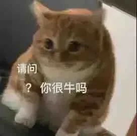 请问?你很牛吗