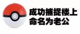 成功捕捉楼上命名为XXX_撩妹撩汉