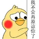 我不会再原谅你