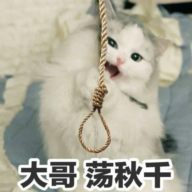 大哥荡秋干