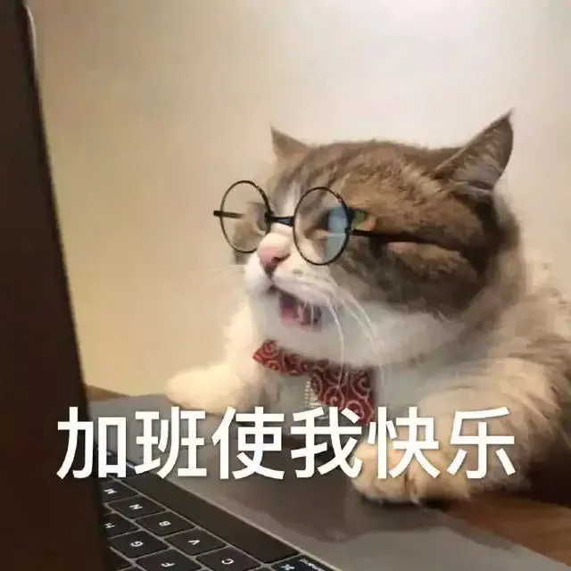 加班使我快乐（加班使我快乐）