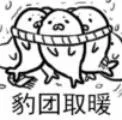 豹团取暖