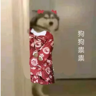 狗狗祟祟换装