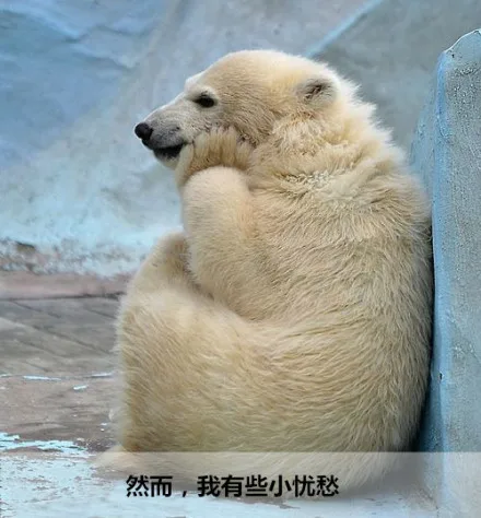 然而，我有些小忧愁