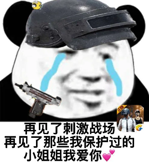 再见了刺激战场再见了那些保护过我的小姐姐 我爱你