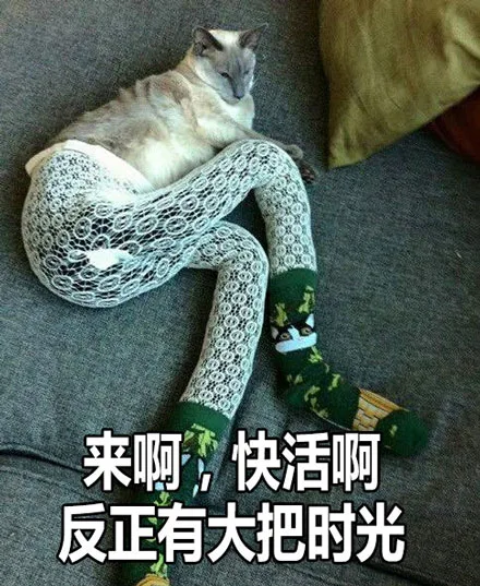 来啊，快活啊。反正有大把时光（来啊，快活啊。反正有大把时光）