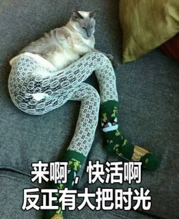 来啊，快活啊。反正有大把时光