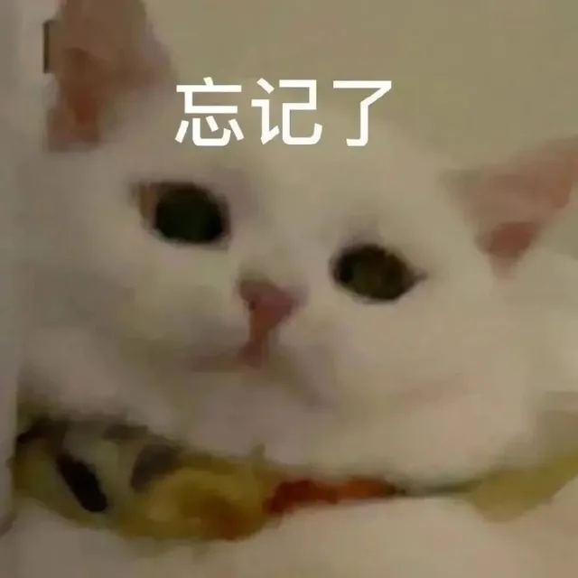 忘记了