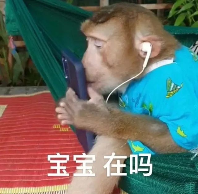 n宝宝在吗（n宝宝在吗）