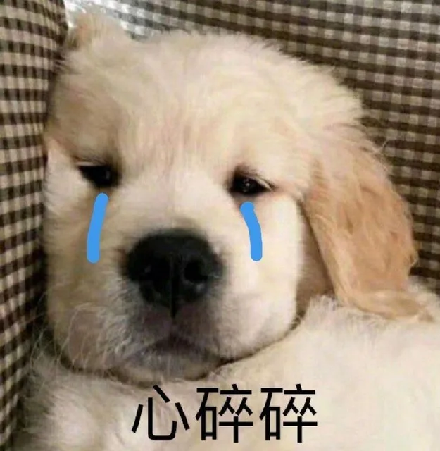 心碎碎（心碎碎）