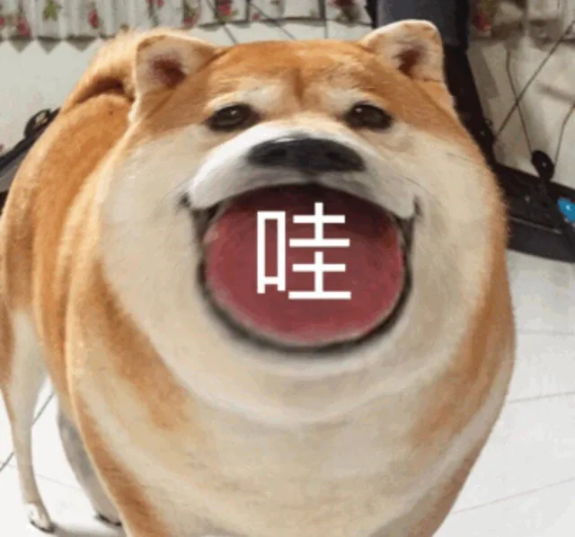 哇（大嘴狗表情包）