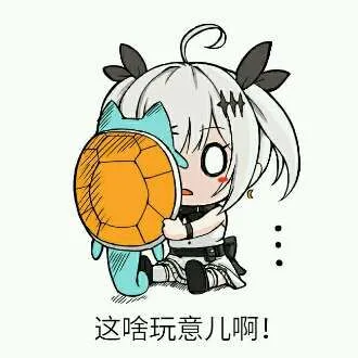 这啥玩意啊（这啥玩意啊）