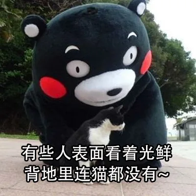 有些人表面上看着光鲜，背地里连猫都没有