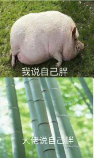 我说自己胖 大佬说自己胖