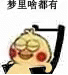 梦里啥都有