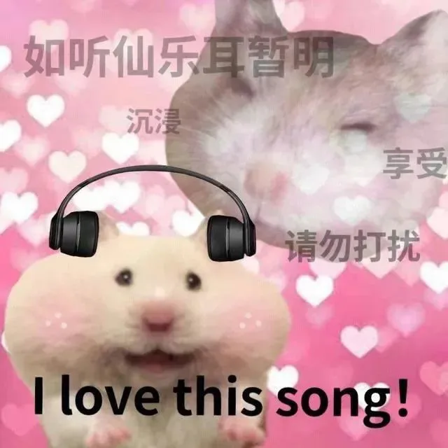 如听仙乐耳暂明沉浸享受请勿打扰I love this song!（如听仙乐耳暂明沉浸享受请勿打扰I love this song!）