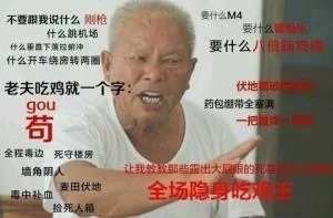 不要跟我说什么刚枪 全场隐身吃鸡王（不要跟我说什么刚枪 全场隐身吃鸡王）