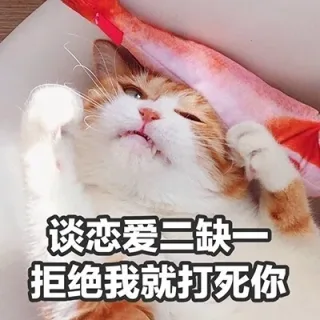 谈恋爱二缺一，拒绝我就打死你