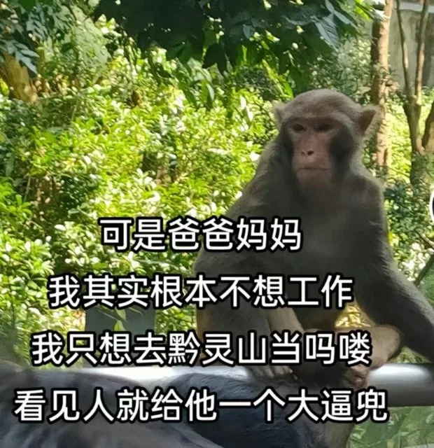 可是爸爸妈妈我其实根本不想工作我只想去黔灵山当吗喽看见人就给他一个大逼兜（可是爸爸妈妈我其实根本不想工作我只想去黔灵山当吗喽看见人就给他一个大逼兜）