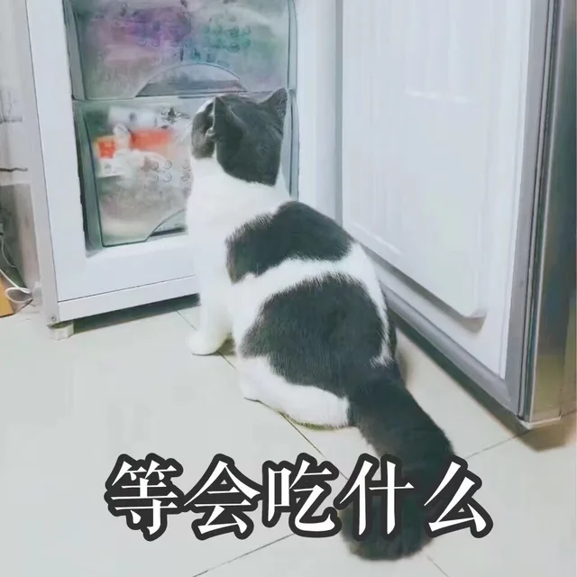 等会吃什么（等会吃什么）