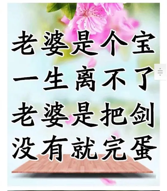 老婆是个宝，一生离不了，老婆是把剑，没有就完蛋