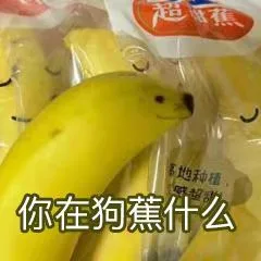 焦亮地种植你在狗蕉什么（焦亮地种植你在狗蕉什么）