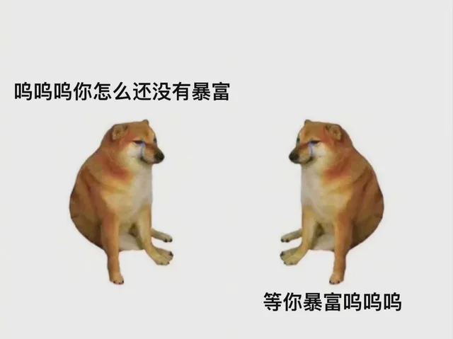 呜呜呜你怎么还没有暴富等你暴富呜呜呜