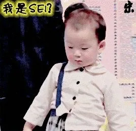 我是SER?（我是SER?）