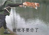 「扔狗表情包」“爸爸不要你了”“幸好我会游泳”_狗_doge
