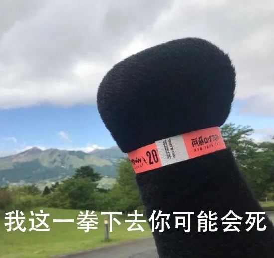 阿蘸20我这一拳下去你可能会死