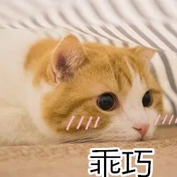 一组喵星人表情包，一起吸猫表情包
