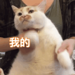 我的人生全靠浪（我的人生全靠浪）