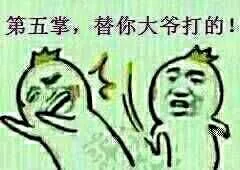 第五掌，替你大爷打的