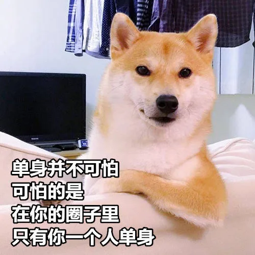 单身并不可怕，可怕的是在你的圈子里，只有你一个人单身（单身并不可怕，可怕的是在你的圈子里，只有你一个人单身）