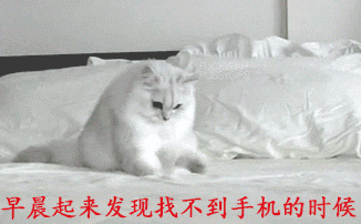 早晨起来发现我找不到手机的时候