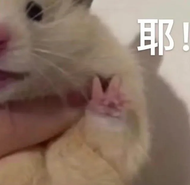 耶！（耶！）