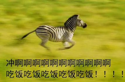冲啊啊啊啊啊啊 吃饭吃饭吃饭吃饭吃饭！！