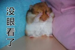 没眼看了（没眼看了）