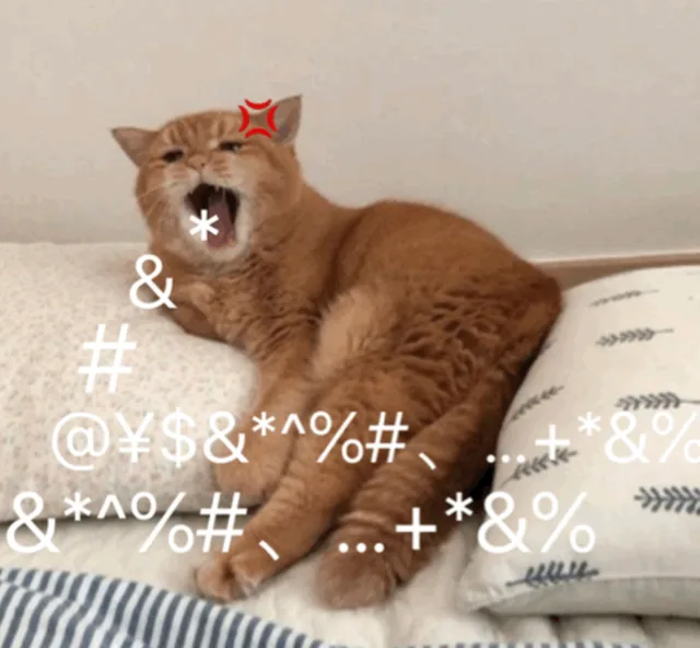 猫咪脏话输出（猫咪脏话输出）